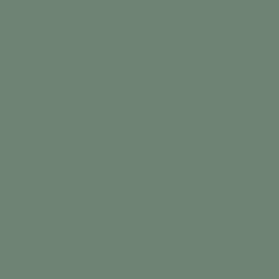 Paint House of Hackney | Euphorbia Paint-90