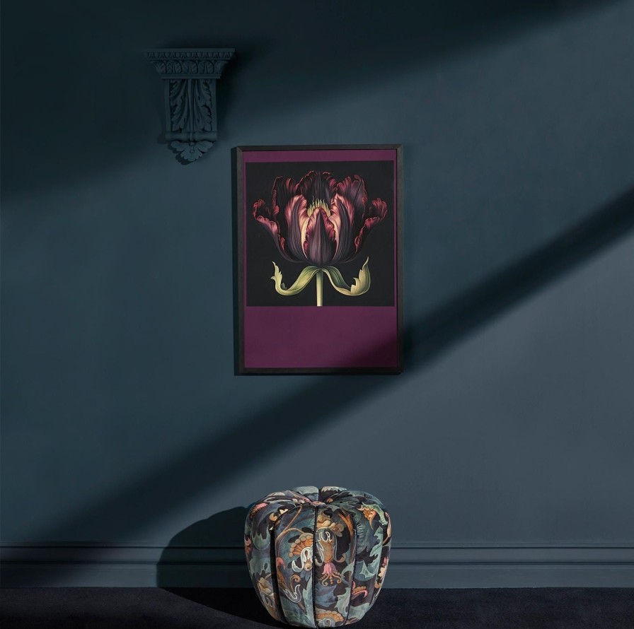 Paint House of Hackney | Apatite Paint-23