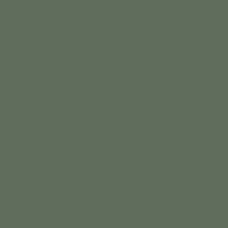Paint House of Hackney | Hedera Paint-35