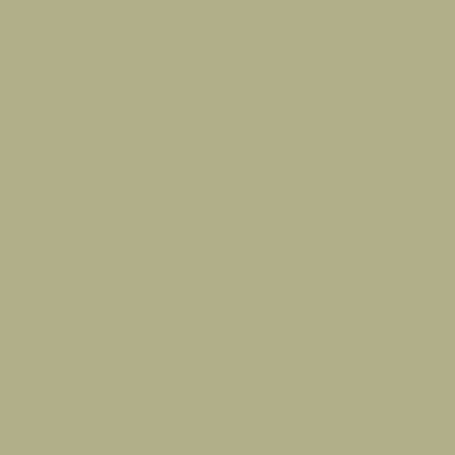 Paint House of Hackney | Apple Paint-28