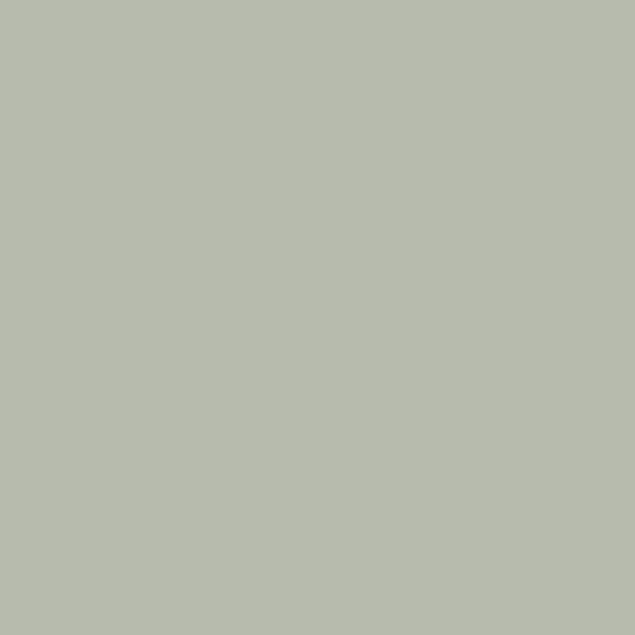 Paint House of Hackney | Celadon Paint-26