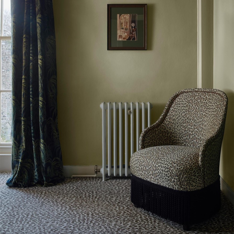 Paint House of Hackney | Celosia Paint-31