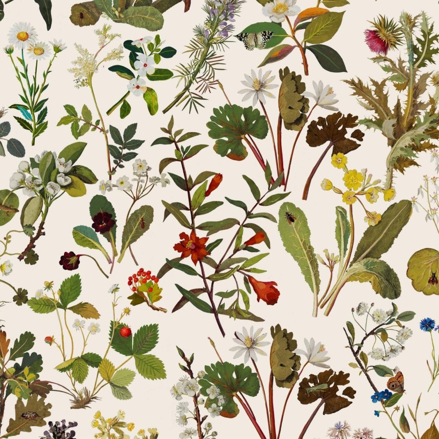 Wallpaper House of Hackney | Herbarium Wallpaper-Ecru