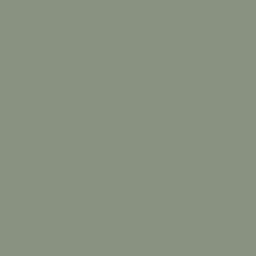 Paint House of Hackney | Myrtle Paint-56