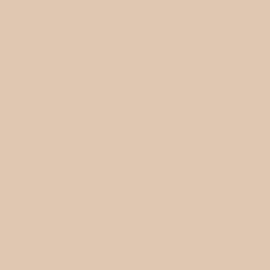 Paint House of Hackney | Amanita Paint-82