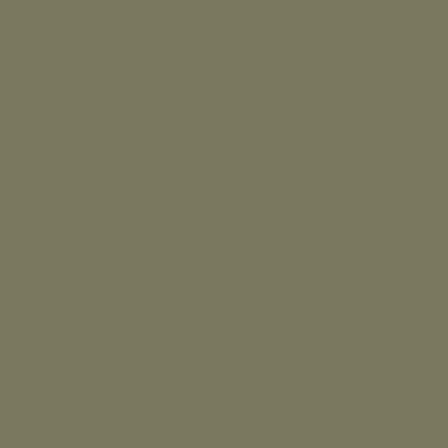 Paint House of Hackney | Laurustine Paint-34