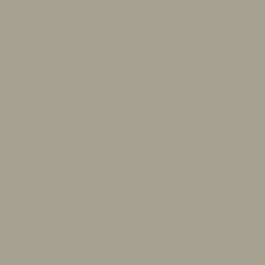 Paint House of Hackney | Artichoke Paint-29