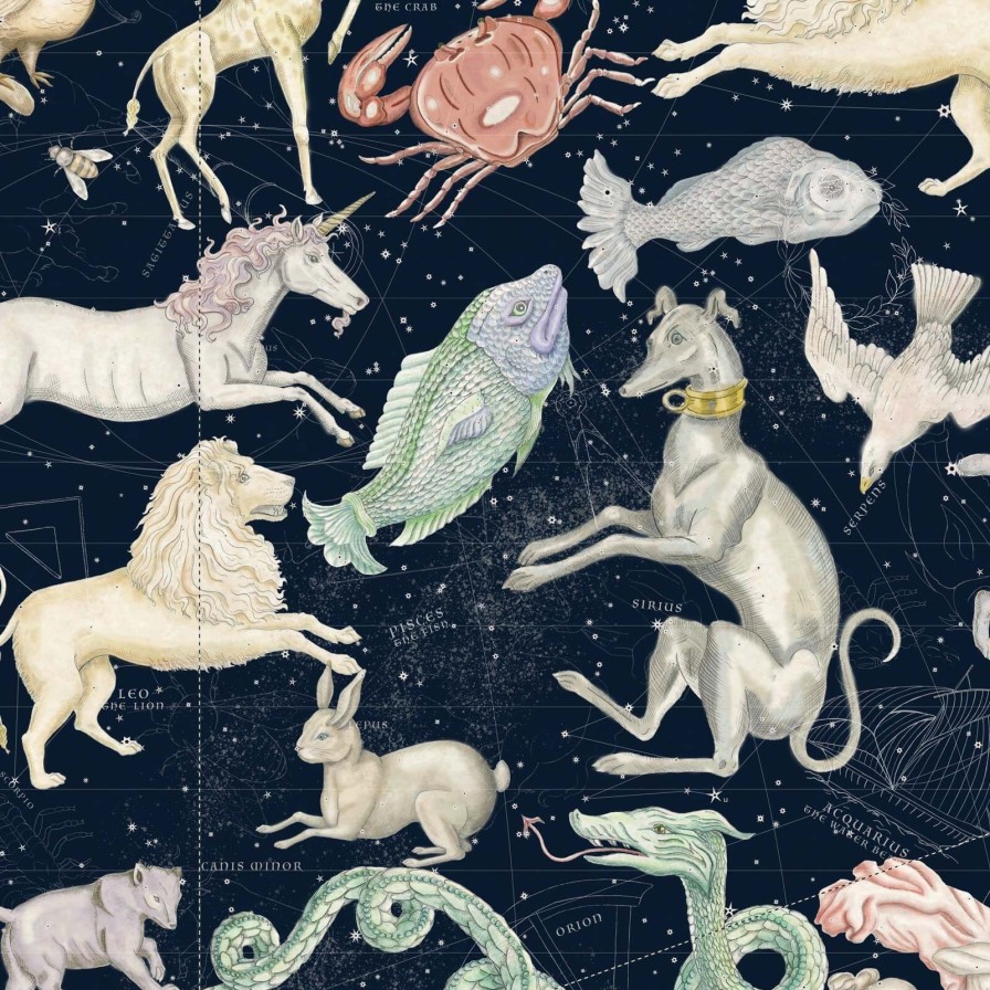 Wallpaper House of Hackney | Cosmos Wallpaper-Midnight