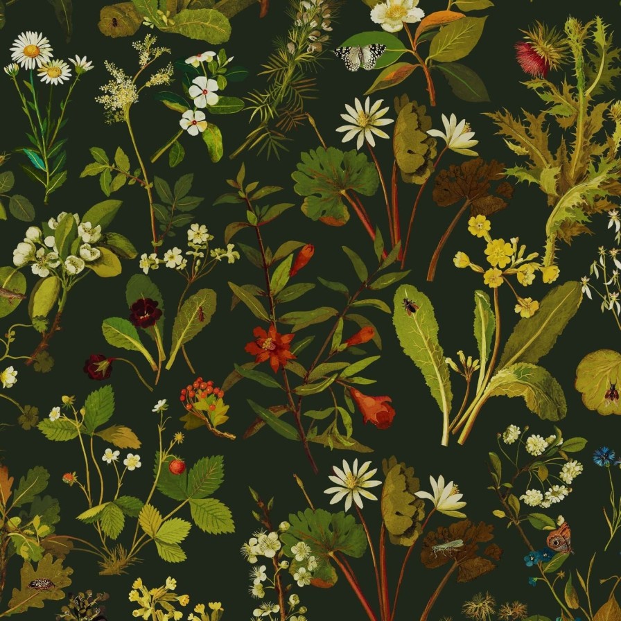 Wallpaper House of Hackney | Herbarium Wallpaper-Forest Green-Spruce
