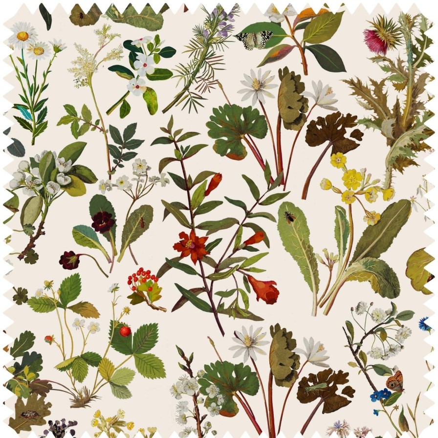 Fabric House of Hackney | Herbarium Cotton Linen Blind-Ecru