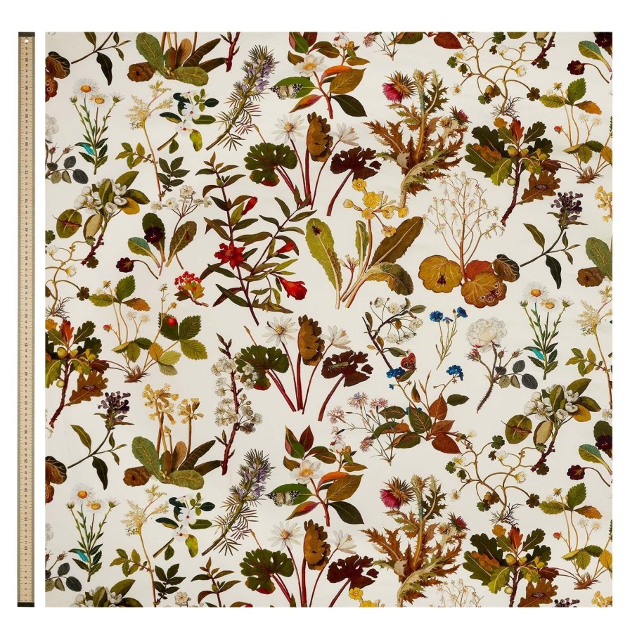 Fabric House of Hackney | Herbarium Cotton Linen Blind-Ecru