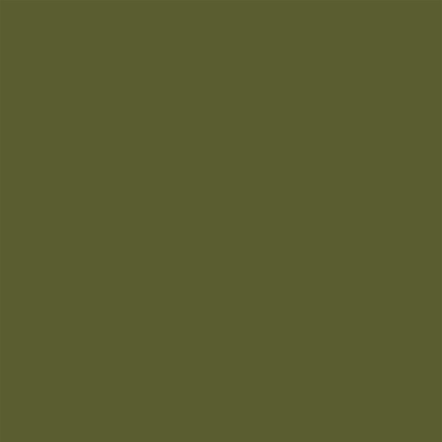 Paint House of Hackney | Nephrite Paint-60